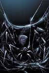 Spectacular Spider-Man #20 